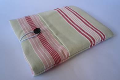 iPad Case - Green/Pink Stripe 